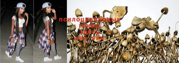 дмт Белоозёрский