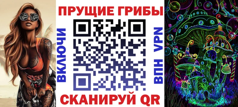 mega онион  Яхрома  Псилоцибиновые грибы мицелий 